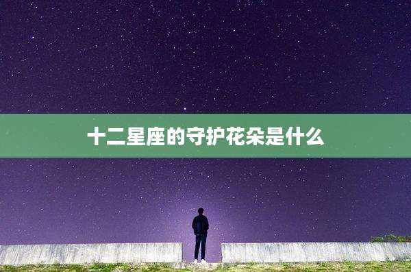 十二星座的守护花朵是什么