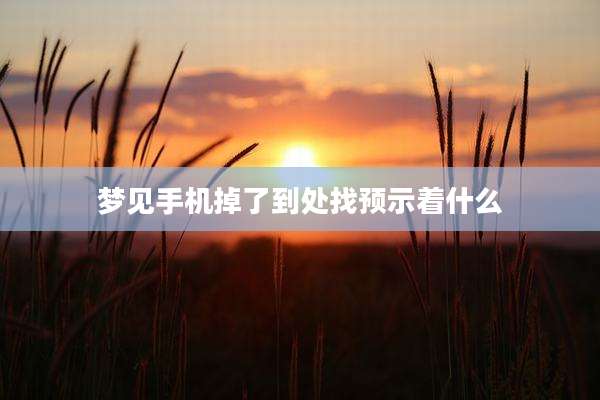 梦见手机掉了到处找预示着什么