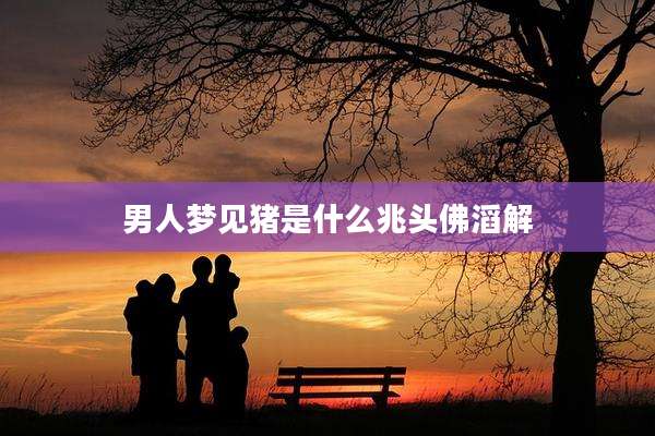 男人梦见猪是什么兆头佛滔解