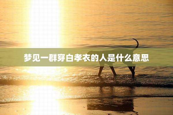 梦见一群穿白孝衣的人是什么意思