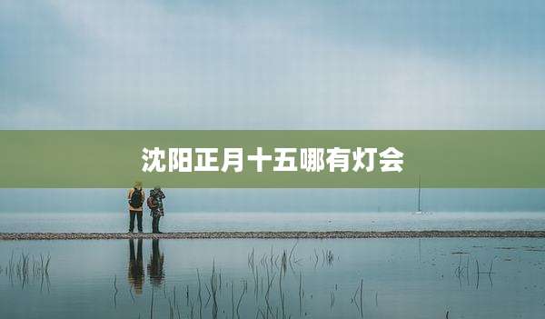 沈阳正月十五哪有灯会