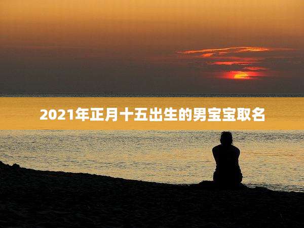 2021年正月十五出生的男宝宝取名