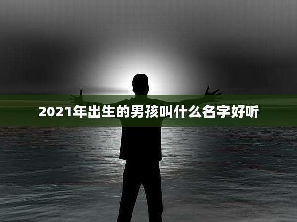 2021年出生的男孩叫什么名字好听