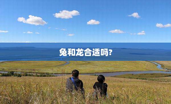 兔和龙合适吗?
