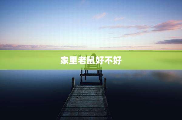 家里老鼠好不好