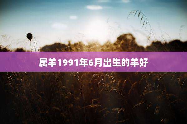 属羊1991年6月出生的羊好