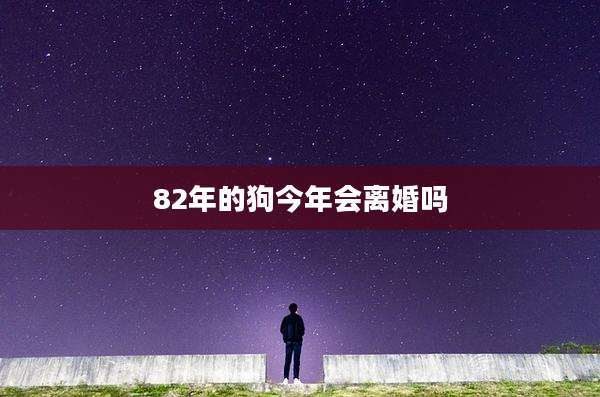 82年的狗今年会离婚吗