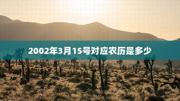 2002年3月15号对应农历是多少