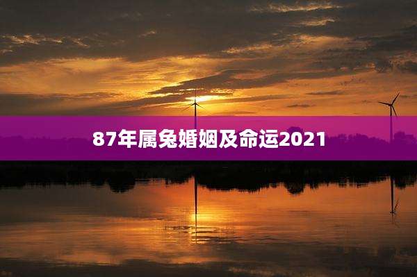 87年属兔婚姻及命运2021