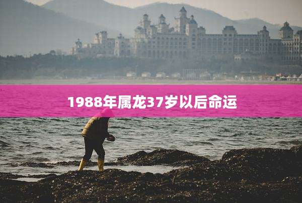 1988年属龙37岁以后命运