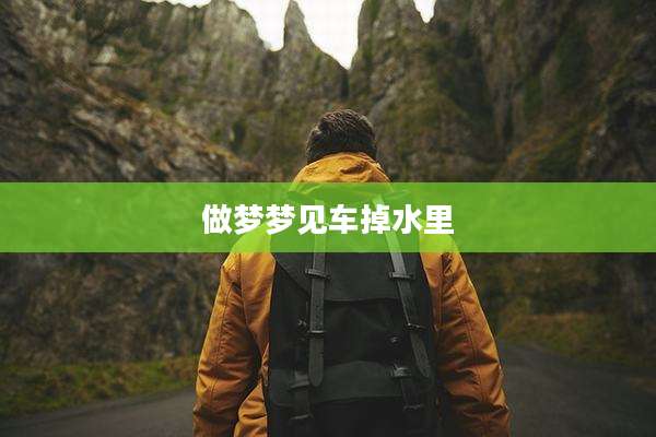 做梦梦见车掉水里