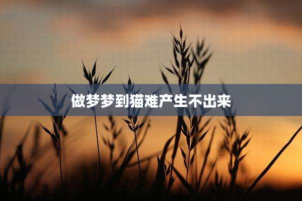 做梦梦到猫难产生不出来