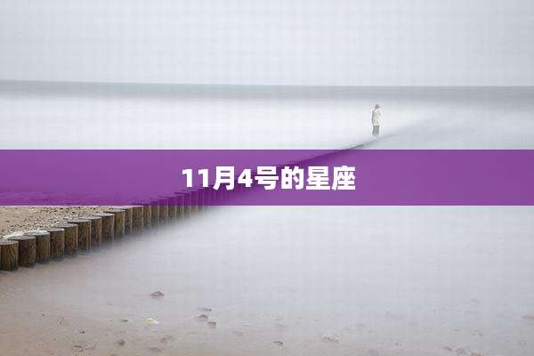 11月4号的星座