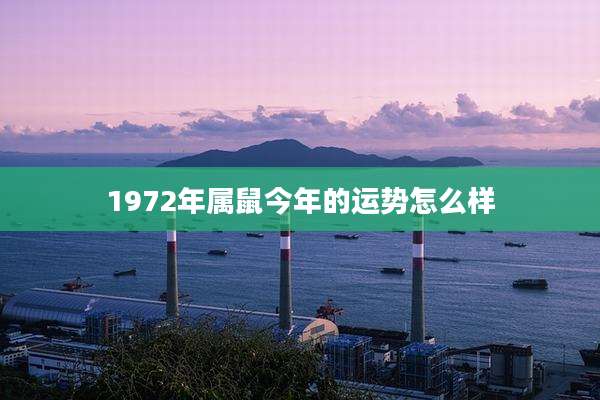 1972年属鼠今年的运势怎么样