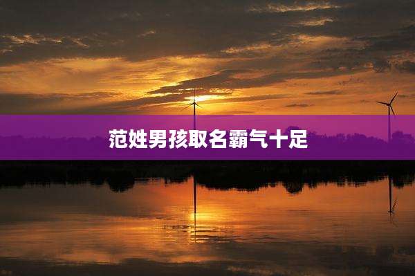 范姓男孩取名霸气十足