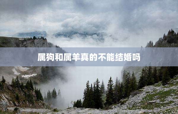 属狗和属羊真的不能结婚吗
