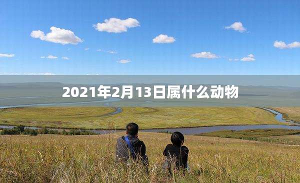 2021年2月13日属什么动物