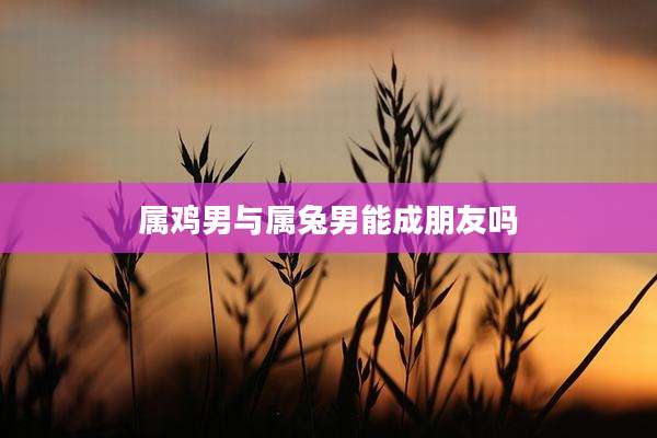 属鸡男与属兔男能成朋友吗