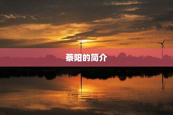 蔡阳的简介