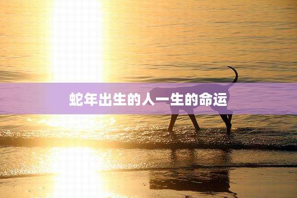 蛇年出生的人一生的命运