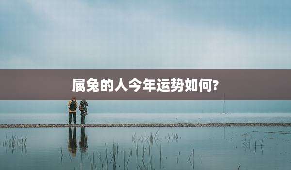 属兔的人今年运势如何?