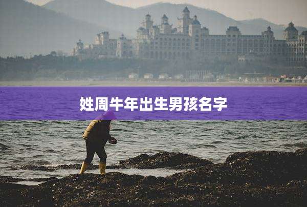 姓周牛年出生男孩名字