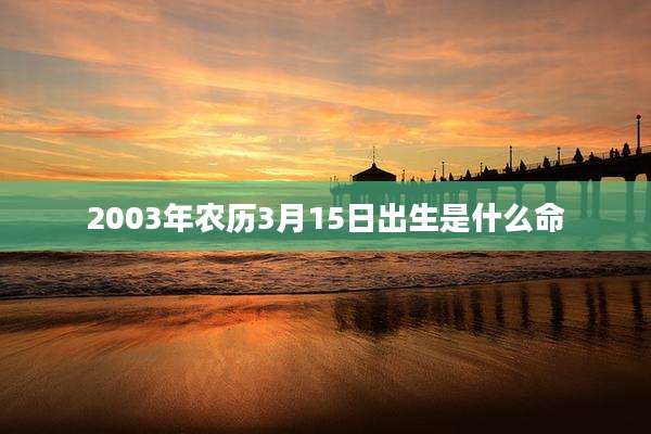 2003年农历3月15日出生是什么命