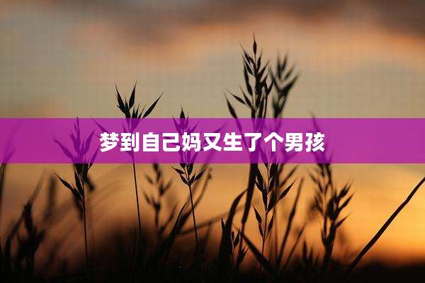 梦到自己妈又生了个男孩