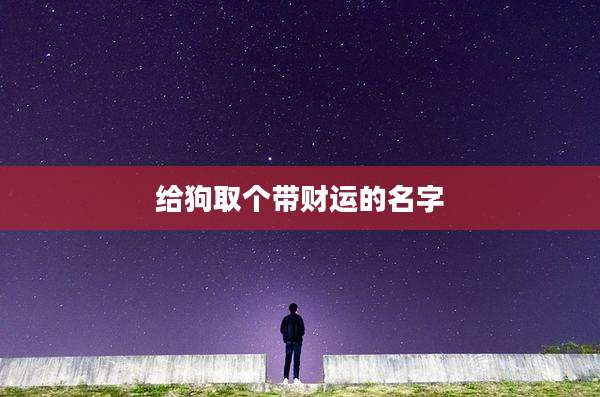 给狗取个带财运的名字