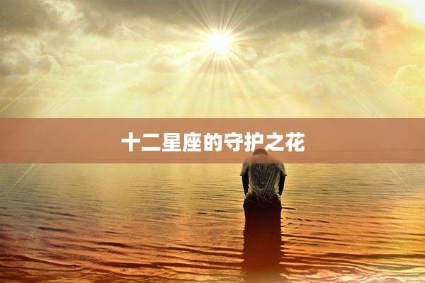 十二星座的守护之花