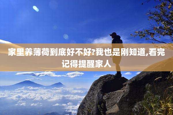 家里养薄荷到底好不好?我也是刚知道,看完记得提醒家人