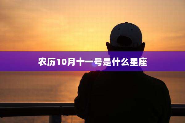 农历10月十一号是什么星座