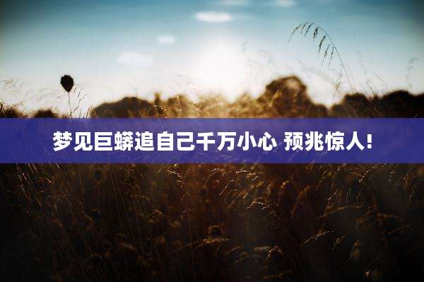 梦见巨蟒追自己千万小心 预兆惊人!