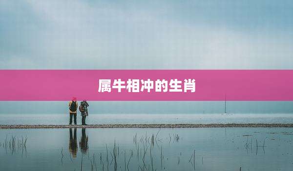 属牛相冲的生肖