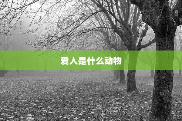 爱人是什么动物