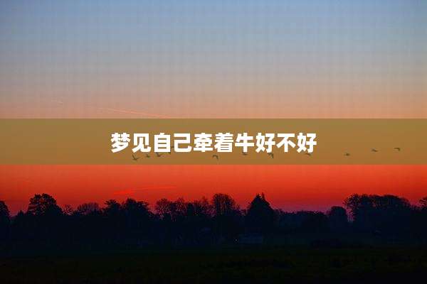 梦见自己牵着牛好不好