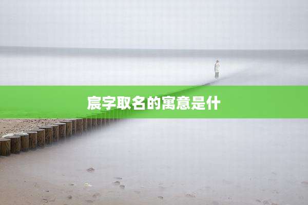 宸字取名的寓意是什