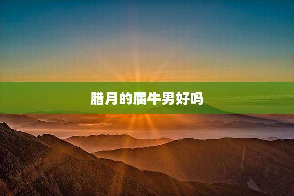 腊月的属牛男好吗