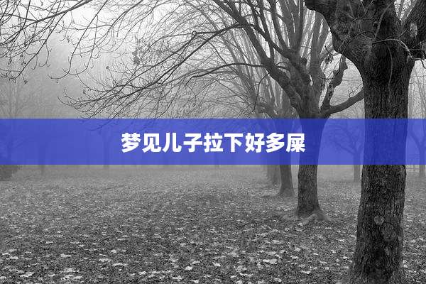 梦见儿子拉下好多屎