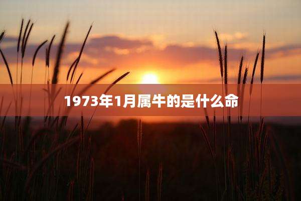 1973年1月属牛的是什么命
