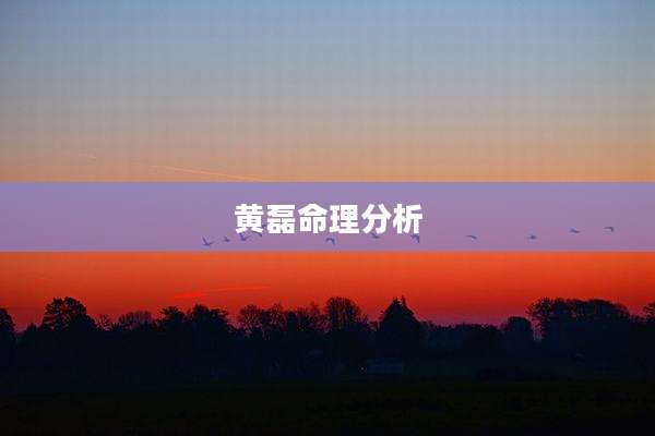 黄磊命理分析