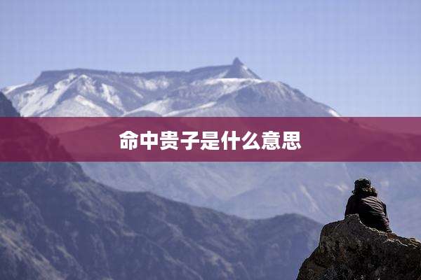 命中贵子是什么意思