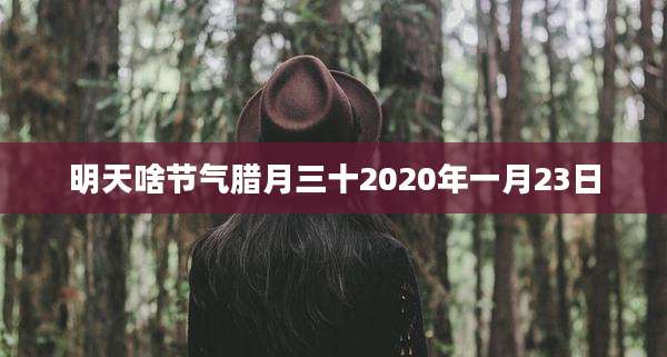 明天啥节气腊月三十2020年一月23日