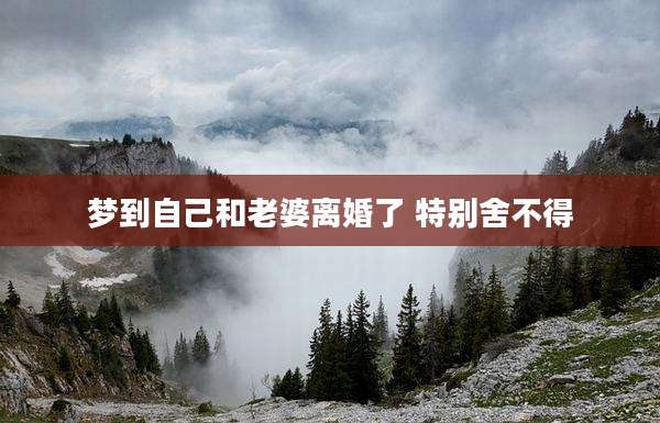 梦到自己和老婆离婚了 特别舍不得