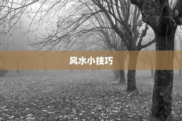风水小技巧