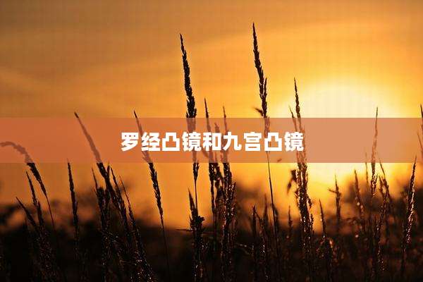 罗经凸镜和九宫凸镜