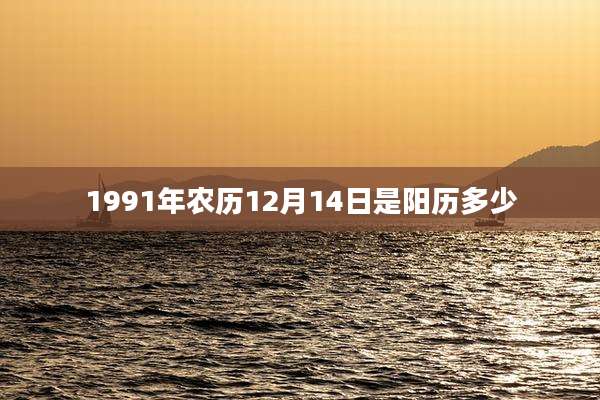 1991年农历12月14日是阳历多少