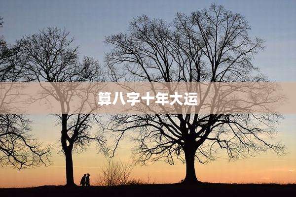 算八字十年大运
