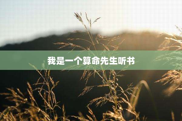 我是一个算命先生听书