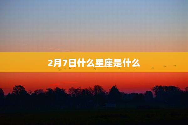 2月7日什么星座是什么